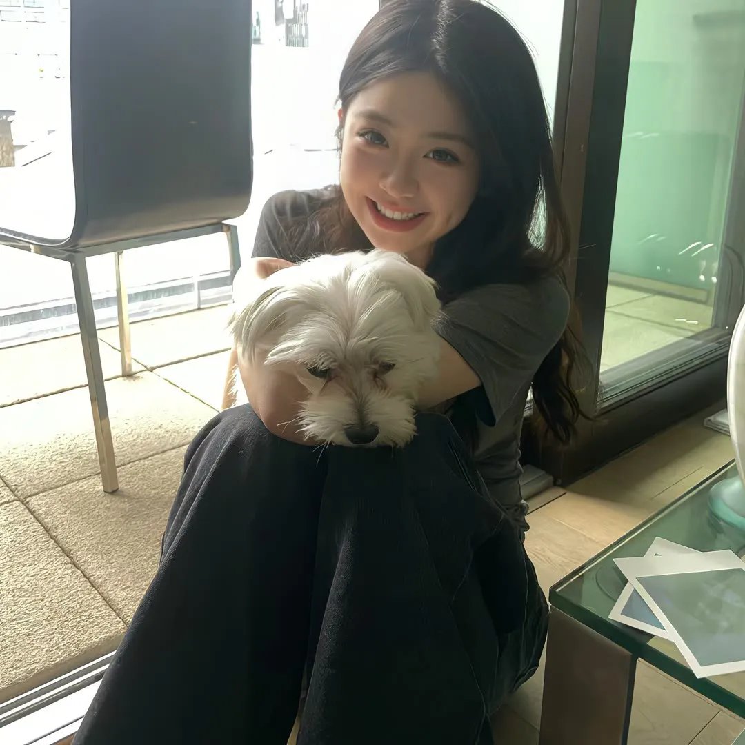 警视厅遗失物搜查档案